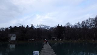 PC130006.jpg